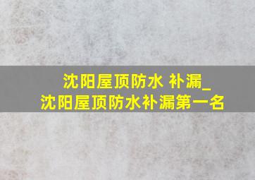 沈阳屋顶防水 补漏_沈阳屋顶防水补漏第一名